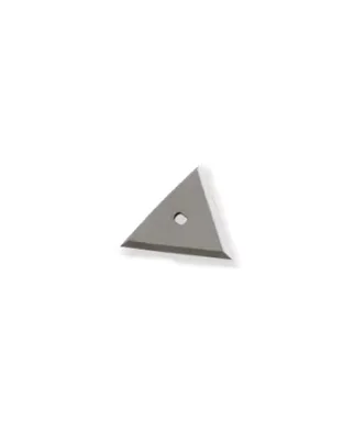 Lame de remplacement triangulaire Go Paint