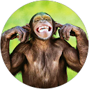 Pasi Makkonen profile picture